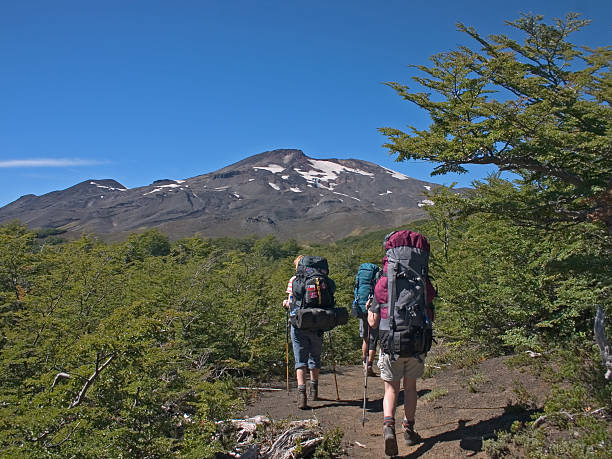 Trekking National Park Villarica stock photo