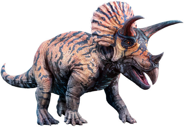 Triceratops 3D illustration stock photo