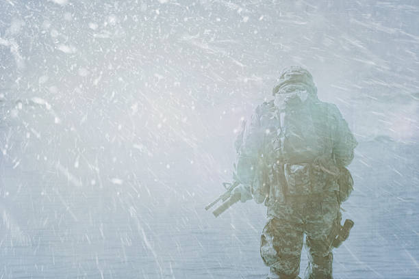 Trooper winter storm stock photo