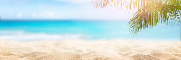 Tropical beach background stock photo