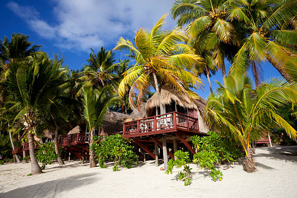 тропический пляж хижинах - cook islands стоковые фото и изображения