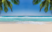 istock Tropical beach, palm trees, sea wave and white sand 1300296030