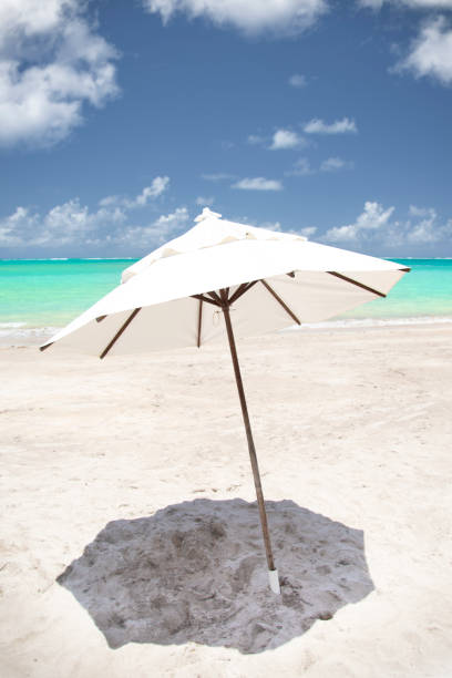 Tropical beach umbrella stock photo