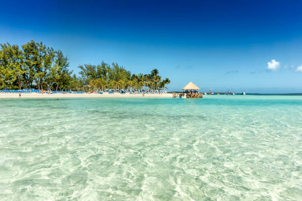 тропический пляж с бирюзовой водой. карибский бассейн - аруба стоковые фото и изображения