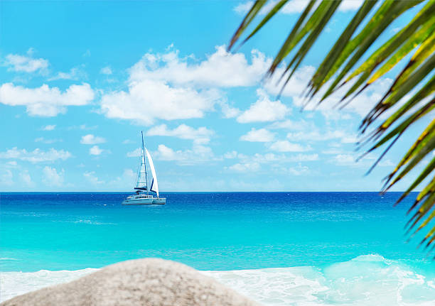 Tropical beach with yacht and palm. Anse Georgette, Praslin Seychelles Tropical ocean beach with yacht and palm leaves. Anse Georgette, Praslin island, Seychelles - vacation background granitic stock pictures, royalty-free photos & images