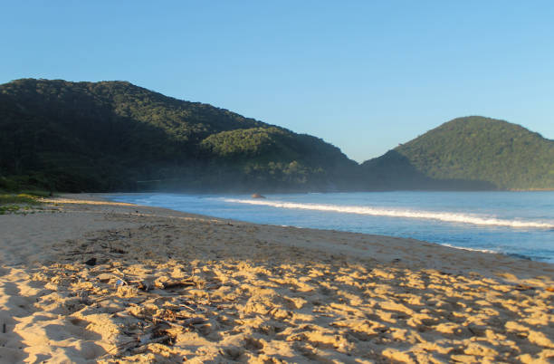 Tropical Brazilian Beach at Golden hour - Red Praia do Norte - Ubatuba - SP stock photo
