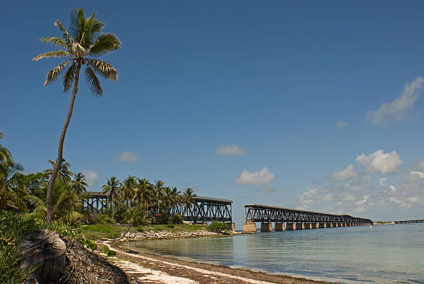 Tropical Bridge stock photo