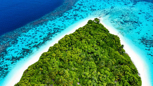 Tropical Island in the Ocean Tropical Island in the Ocean, Maldives atoll stock pictures, royalty-free photos & images