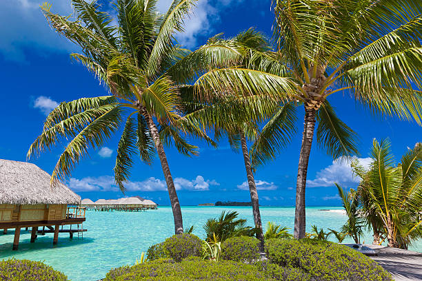Tropical Island Paradise stock photo
