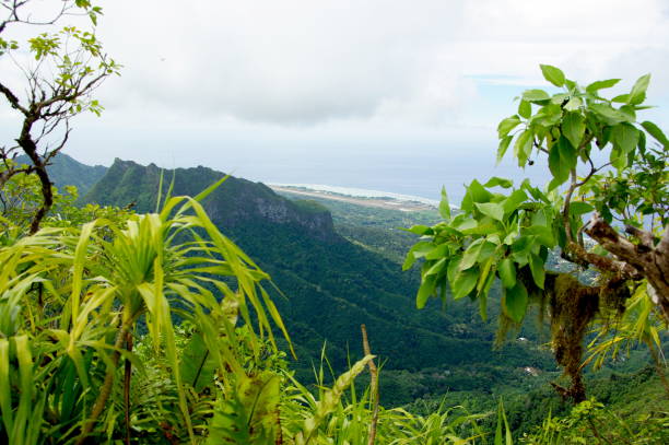 Tropical Island stock photo