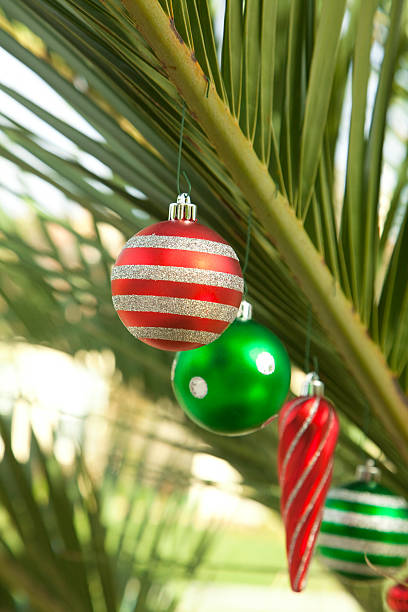 Tropical Palm Tree With Red and Green Christmas Ornaments stock photo