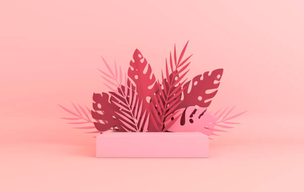Tropical paper palm, monstera leaves frame, podium platform for product presentation. Summer tropical leaf. Origami exotic hawaiian jungle, summertime background. Paper cut 3d render Tropical paper palm, monstera leaves frame, podium platform for product presentation. Summer tropical leaf. Origami exotic hawaiian jungle, summertime background. Paper cut 3d render stereoscopic image stock pictures, royalty-free photos & images