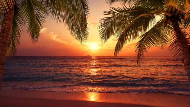 Tropical paradise beach sunset stock photo