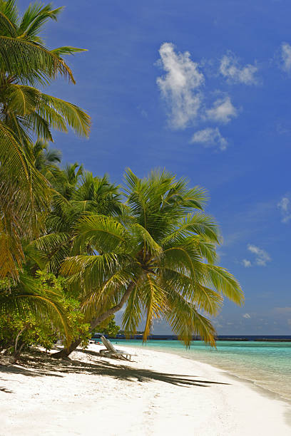 Tropical paradise stock photo