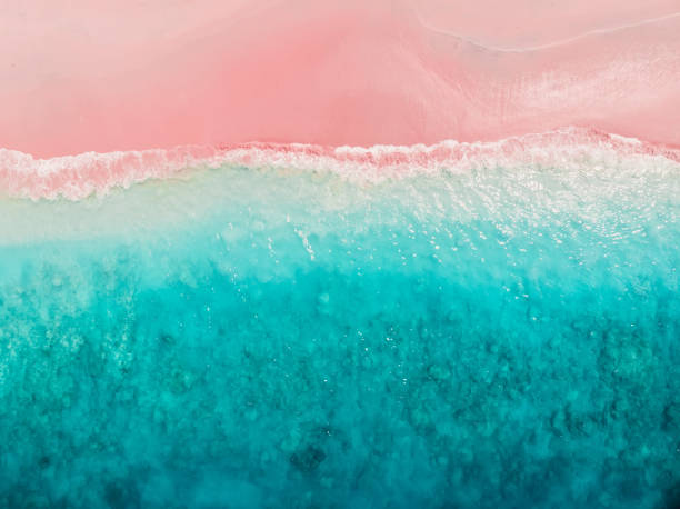 tropical pink beach with blue sea. komodo islands - aerial view - pink imagens e fotografias de stock