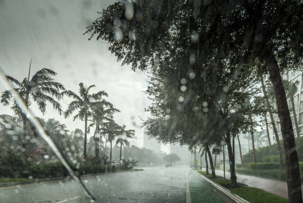 Tropical rain Tropical torrential rain in Miami Beach. hurricane storm stock pictures, royalty-free photos & images