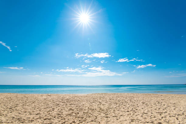 tropical sea in summer. tropical sea in summer. sunny stock pictures, royalty-free photos & images