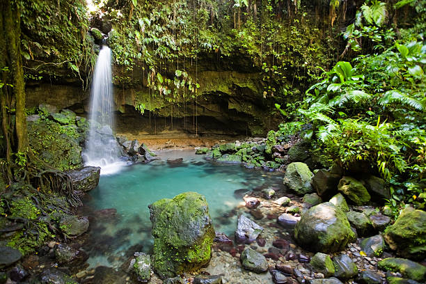 Tropical waterfall and turquoise pool in lush forest stock photo