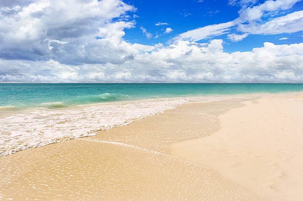 Tropical white sand beach in caribbean sea, Cayo Largo, Cuba