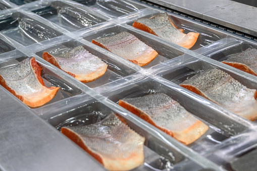 Trout pieces and wedges lie on a conveyor in trays for vacuum packing.