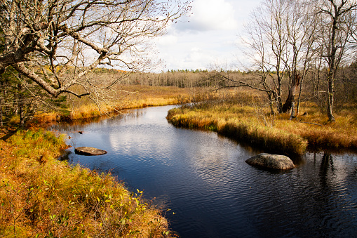 A trout stream in the upper Medway reclaimed wilderness area in Nova Scotia