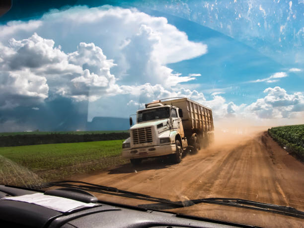 Truck travels along a dirt road next to a soybean plantation, stock photo