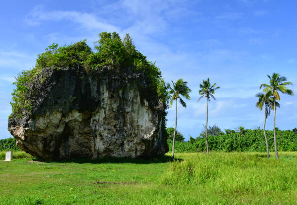 tsunami rock, gigantyczny głaz koralowy w pobliżu kala'au, wyspa tongatapu, tonga - tonga tsunami zdjęcia i obrazy z banku zdjęć