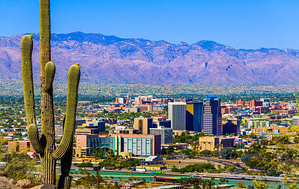 Tucson Arizona skyline cityscape framed by saguaro cactus and mountains stock photo