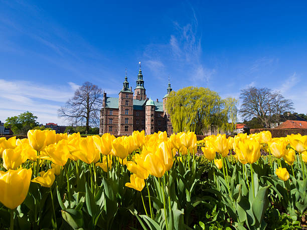 Tulips and Rosenborg Castle stock photo