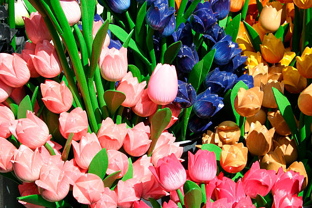 Tulips from Amsterdam stock photo