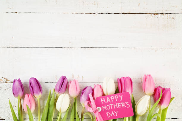 tulips tulips mothers day background stock pictures, royalty-free photos & images