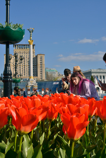 Spring flowers in Maidan Mezalezhnosti in Kyiv, taken in late April, 2022, stationary, people on the background