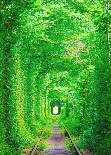 ウクライナ 愛のトンネルのストックフォト Istock