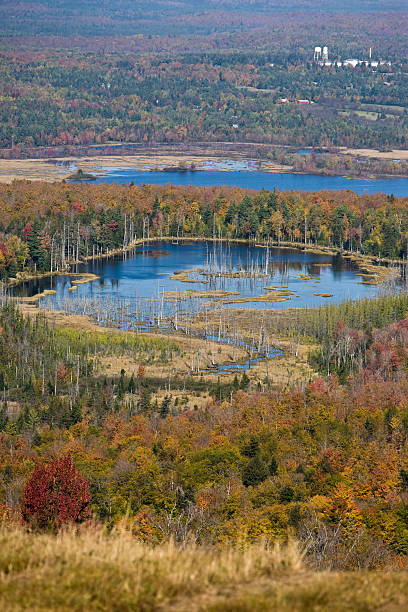 Tupper Lake in Fall A view of Tupper Lake inAutumn tupper lake stock pictures, royalty-free photos & images