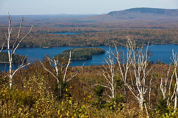 Tupper Lake Tupper Lake from the summit of Big Tupper Mountain tupper lake stock pictures, royalty-free photos & images