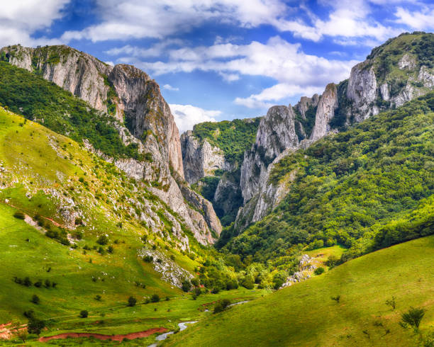 Turda gorge Cheile Turzii stock photo