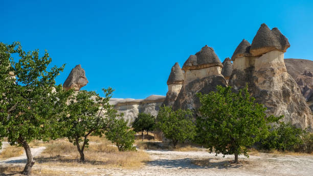 Turkey landscape Fairy chimneys near Cavusin Town at  Goreme Cappadocia Turkey Travel Tourism and landmark - The three beauties at Urgup Turkey landscape Fairy chimneys near Cavusin Town at  Goreme Cappadocia Turkey Travel Tourism and landmark / The three beauties at Urgup ::::: asian beauties : stock pictures, royalty-free photos & images