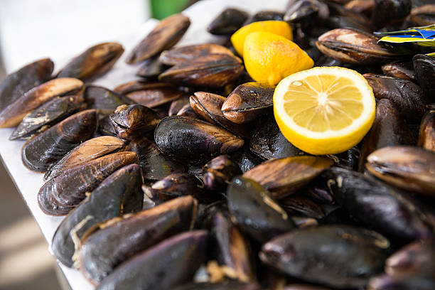 Turkish style stuffed mussels called midye dolma on the bench stock photo