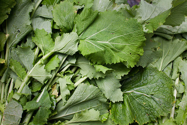 Turnip greens in market Close of Turnip Greens (Grelos)in market broccoli rabe stock pictures, royalty-free photos & images