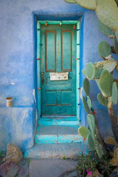 Turquoise Painted Door with Cactus in the Southwest stock photo