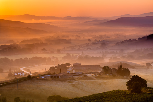 Tuscany Village Landscape near Pisa on a Foggy Morning, Italy
