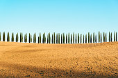 istock Tuscany landscape of cypresses trees, Val d'Orcia, Italy 1049592640