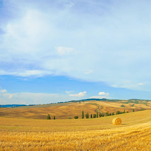 tuscany landscape panorama stock photo