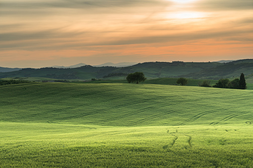 tuscany lanscape, sunset time, Italy