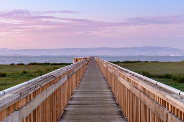 Twilight over the new boardwalk at Baylands Nature Preserve. Palo Alto, Santa Clara County, California, USA. nature reserve stock pictures, royalty-free photos & images