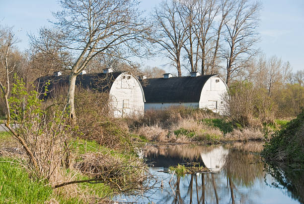 Twin Barns Reflected in a Pond Wetlands are an important ecosystem that are permanently or seasonally dominated by water. The primary factor that distinguishes wetlands from other bodies of water is the characteristic presence of aquatic plants adapted to the unique environment. Wetlands play an important role in the environment, including water purification, water storage, processing of carbon and other nutrients and stabilization of shorelines. Wetlands are also home to a wide variety of plant and animal life. The historic twin barns and wetland was photographed at the Nisqually National Wildlife Refuge near Olympia, Washington State, USA. jeff goulden reflection stock pictures, royalty-free photos & images