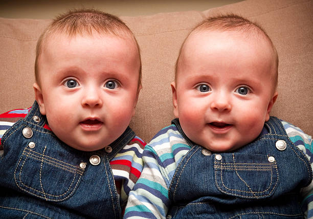 Twin boys in overalls stock photo