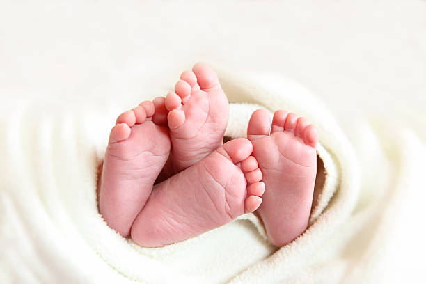 Twins baby feet wraped in a white blanket stock photo