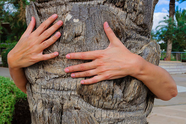 Two arms holding the palm trunk stock photo