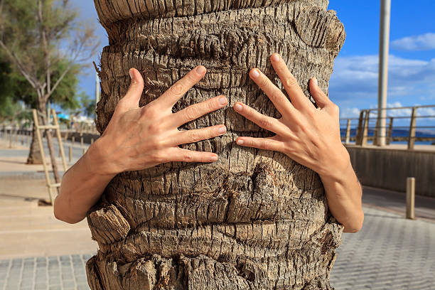 Two arms holding the tree stock photo